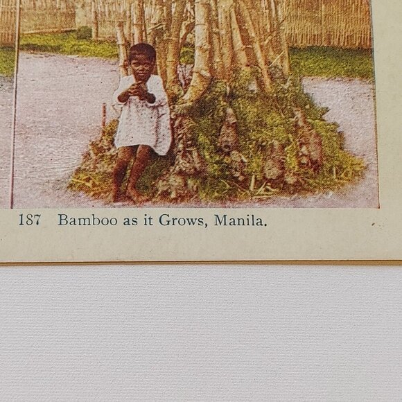 ANTIQUE STEREOGRAPH Card DOUBLE SIDED Bamboo as it Grows, Manilla/Peeheai COLOUR - Picture 2 of 5